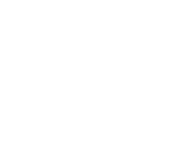 Iiole Logo